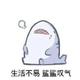 疑惑的鲨鱼头头像