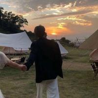 正直钢笔1y7头像