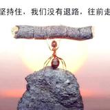 丰田鲁头像