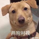 giao我靓仔啊头像