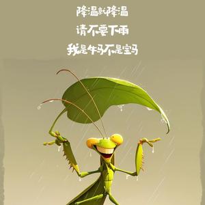 孙悟空空头像