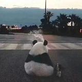 癫狂头像
