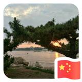 上善若水54536头像