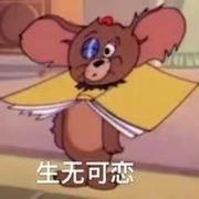 大雀蜂的个人资料头像