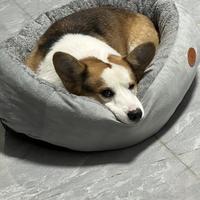 小覃十八岁头像