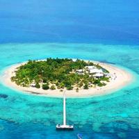 Jiao not unbearable头像