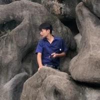 坦坦荡荡的山雀头像