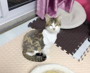 春天1490686886347的个人资料头像