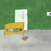 LY217的个人资料头像