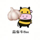 会飞的荷包弹头像