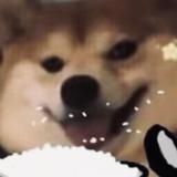 李詡头像