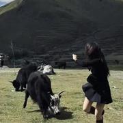 好菇凉687的个人资料头像