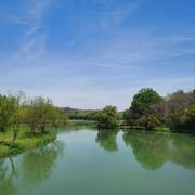 wlcookies的个人资料头像