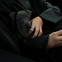 AbsolutelyUrBae头像