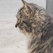 夜泊的个人资料头像