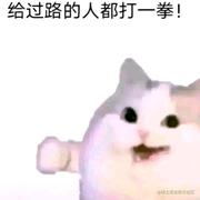 钢铁卡卡龙的个人资料头像