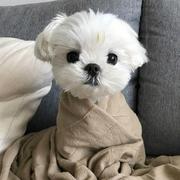 没落前端的个人资料头像