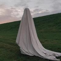 热情的芒果IXP头像