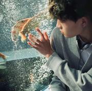 Dirt的个人资料头像