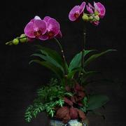 andyhuang的个人资料头像