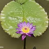 用户2845944548054头像