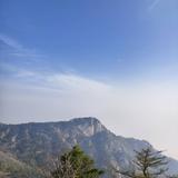 某某25616头像