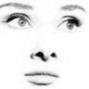 windyfly的个人资料头像