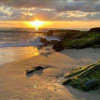 英明果断海风CI头像