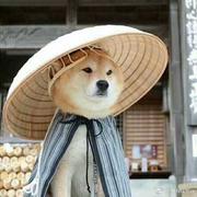 大威u天龙的个人资料头像