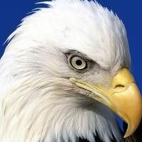 用户8124933749922头像