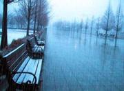 雨天80的个人资料头像