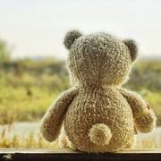 obear的个人资料头像