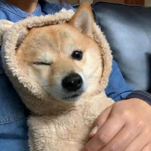 .x头像