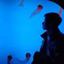 正一的个人资料头像