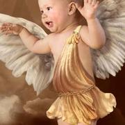 风寒凝的个人资料头像