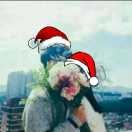 李忌酒的个人资料头像