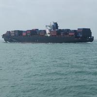 Chp802699头像