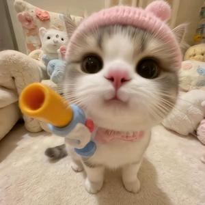 芒逃猫头像