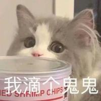 HFoo头像