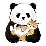 BetterSir的个人资料头像
