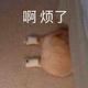 仙人掌怕羞头像