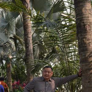 GUANSONGZHANG头像