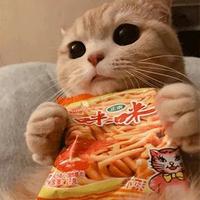 十个豆腐块头像