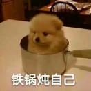 吉祥鸟的个人资料头像