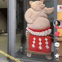 用户1621636239567头像