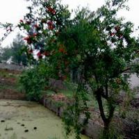 家的守望者252头像