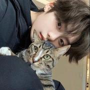 我从山中来的个人资料头像