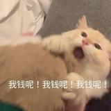 信仰小手头像