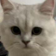 qiya的个人资料头像