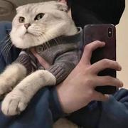 干净_dot的个人资料头像